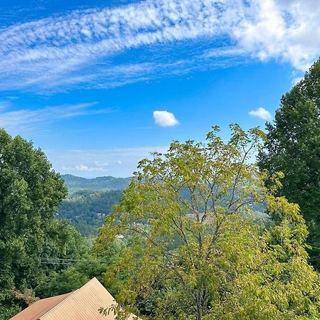 Little Black Bear Retreat Pigeon Forge Exteriör bild