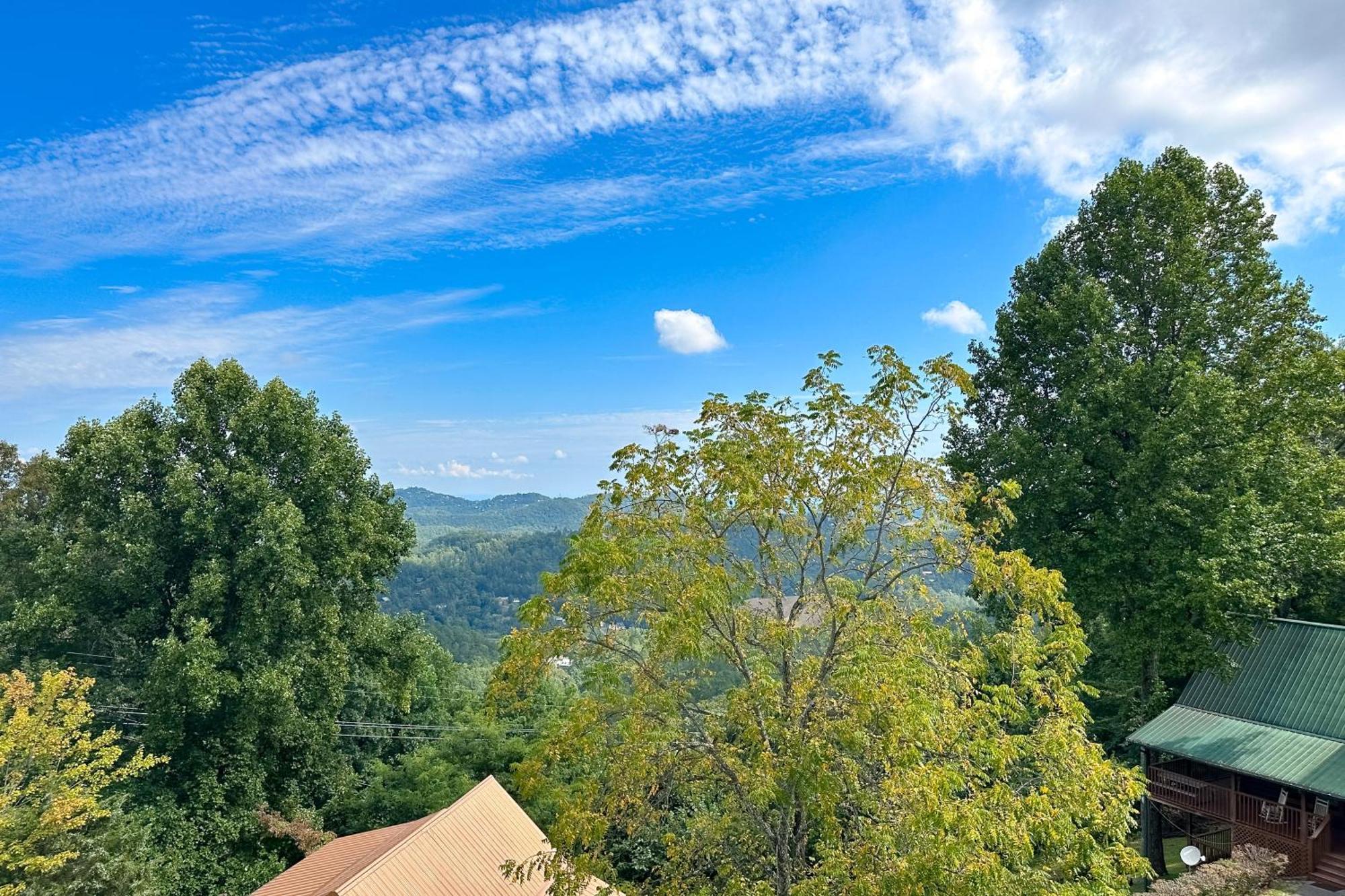 Little Black Bear Retreat Pigeon Forge Exteriör bild